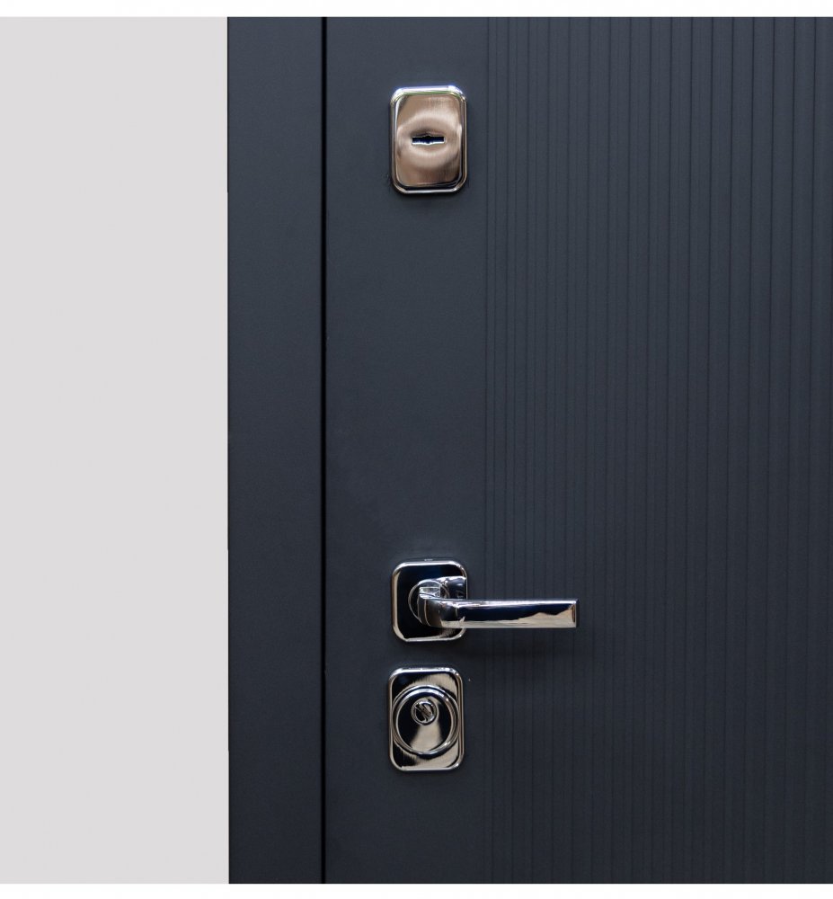 Товар Дверь Цербер SS-01 Только 96 DIS007136